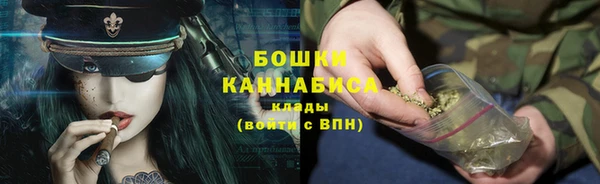 2c-b Горнозаводск
