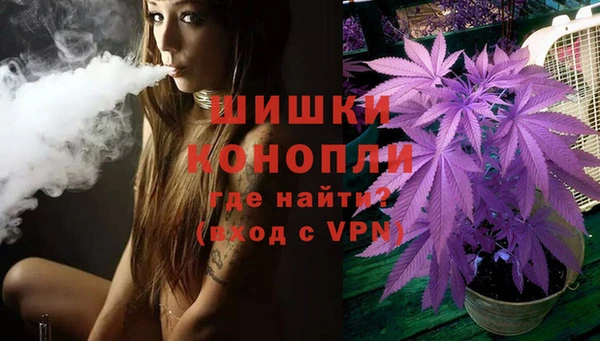 2c-b Горнозаводск