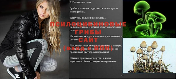 круглые Горняк